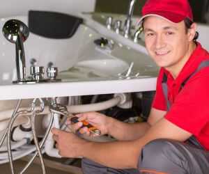 About Emergency plumbing pros Eau Galle, WI